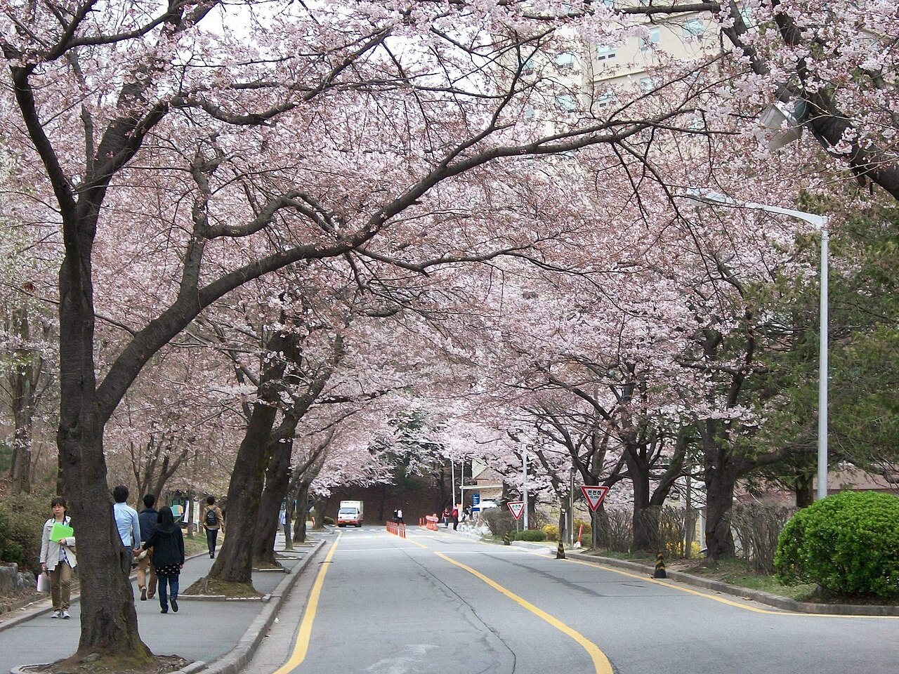 Campus de Chungnam National University, Daejeon